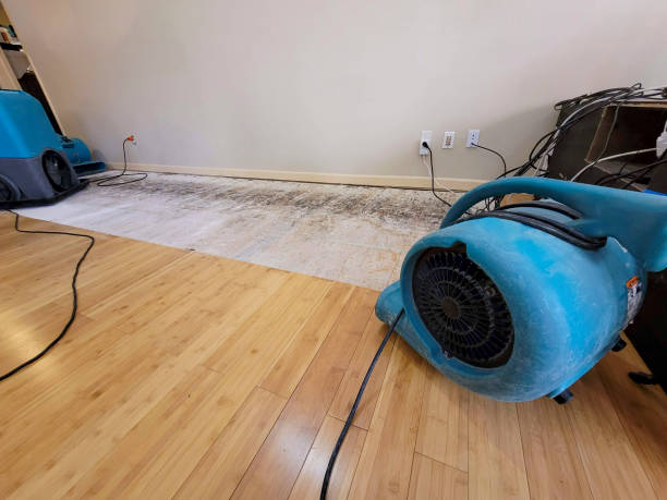 Professional Sewage Cleanup technician working in Farmington, IL